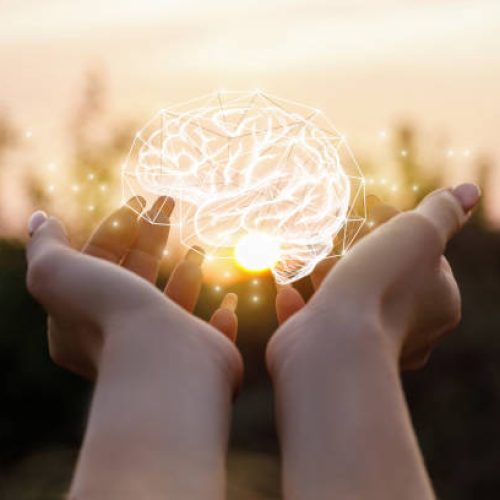 Female hand shows the brain in the sun.